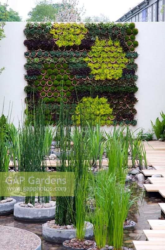 Pièce d'eau et mur vivant planté de motifs hexagonaux - Chelsea Flower Show 2013