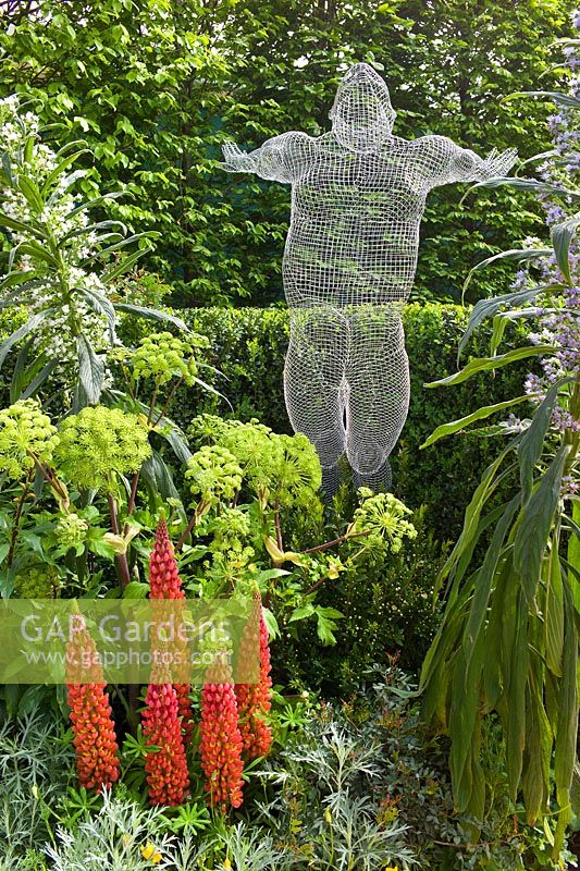Sculpture 'Libertine' de Michelle Castles dans The Arthritis Research UK Garden. La plantation comprend Angelica gigas, Echium, Lupinus 'Masterpiece' et Buxus sempervirens
