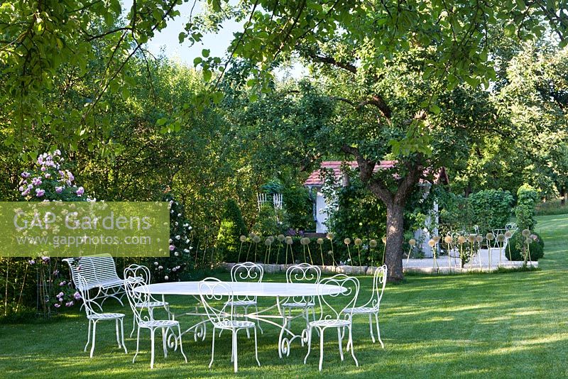 Rosa 'Jasmina', chaises et table en métal blanc devant une maison de jardin