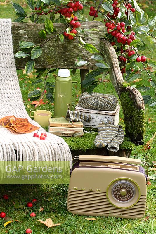 Un banc rustique recouvert de mousse avec une bouteille isotherme, une boîte à lunch, un jeté en laine, un tricot de chaussettes, une radio Bush et des livres d'observation