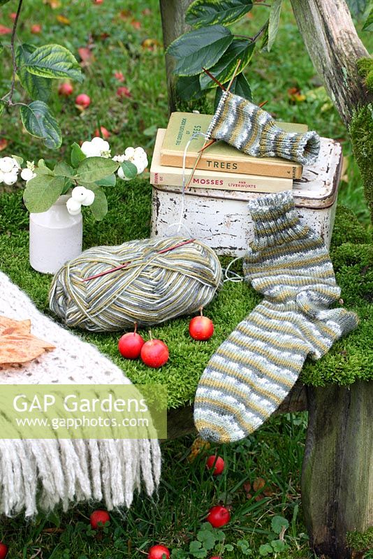 Un banc rustique recouvert de mousse avec boîte à lunch, jeté en laine, tricot à chaussettes, vase de fraises et livres d'observateurs
