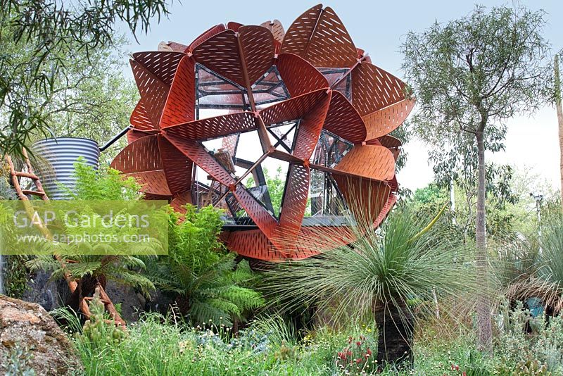 Trailfinders Australian Garden, Chelsea Flower Show 2013. Studio de jardin moderne avec des fougères arborescentes