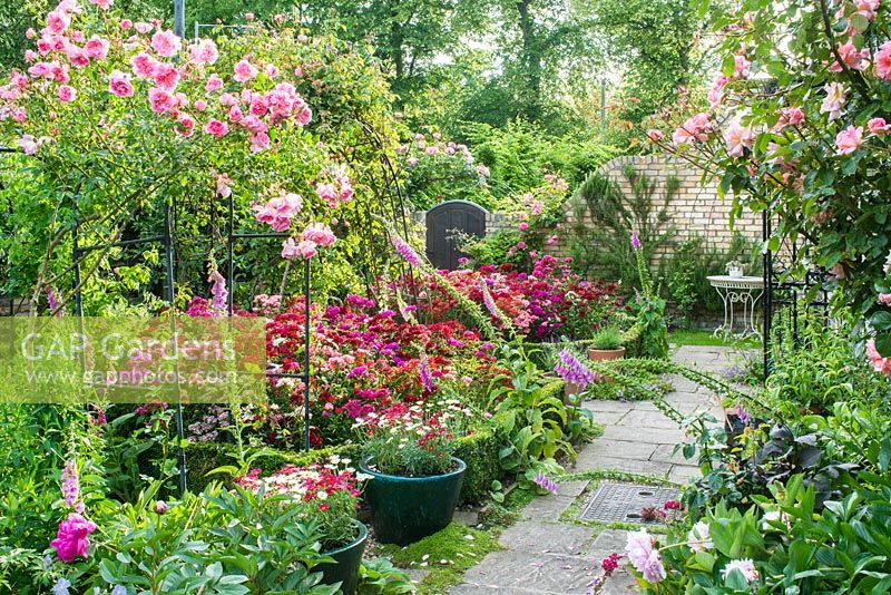 Vue du jardin de la ville formelle avec Buxus - Bordure de boîte, Roses poussant sur des arches sur des chemins. Pivoines, Dianthus - Sweet williams et Digitalis - Foxgloves