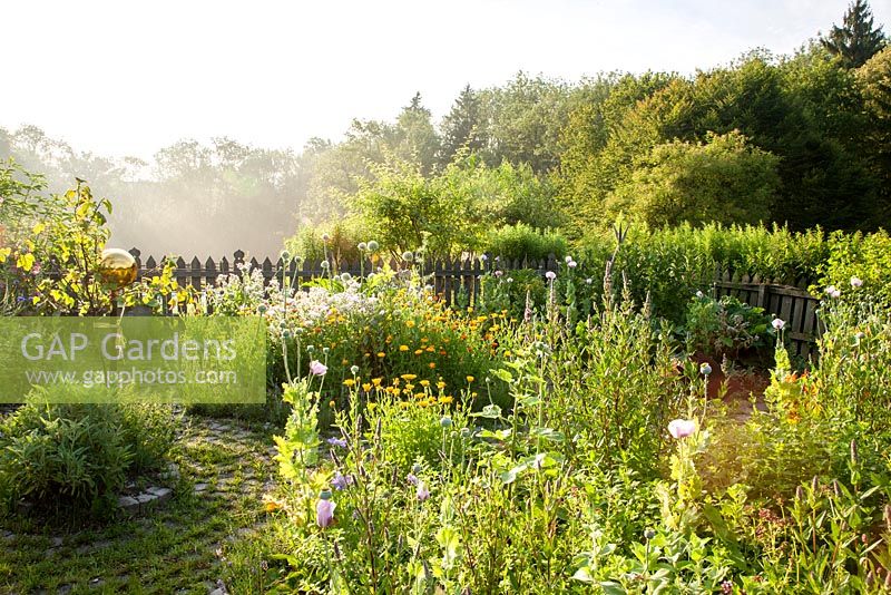 Jardin aux herbes de style naturel avec clôture en bois et sphère en verre. Plantation, Borago officinalis, Calendula officinalis, Papaver somniferum