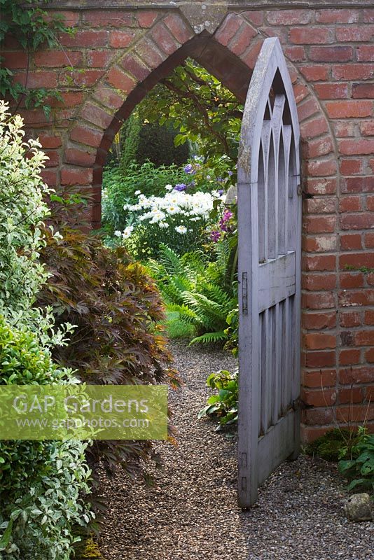 Porte en bois de style gothique avec Pittosporum Tenuifolium 'Irene Paterson'