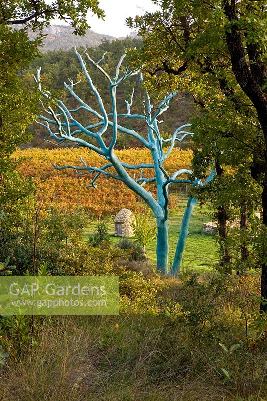 Vue à travers les bois sur les vignes et un puits en pierre devant un arbre peint en bleu par Marc Nucera. Provence, France, Domaine de la Verriere