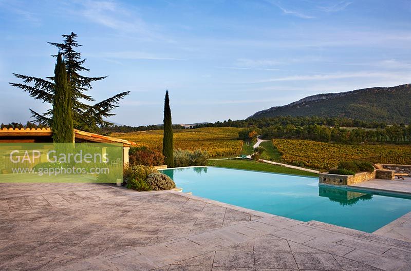 La piscine avec vignobles et vue sur le Mont Ventoux. Provence, France, Domaine de la Verriere