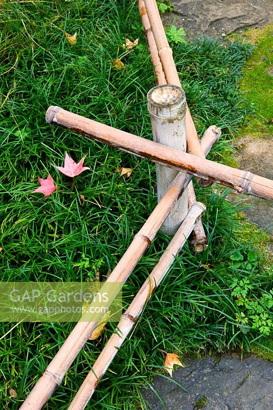 Détail jardin zen avec clôture en bambou et feuilles d'érable tombées