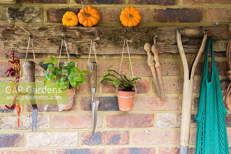 Porte-outils rustique avec des plantes en pots en terre cuite et des outils rénovés.