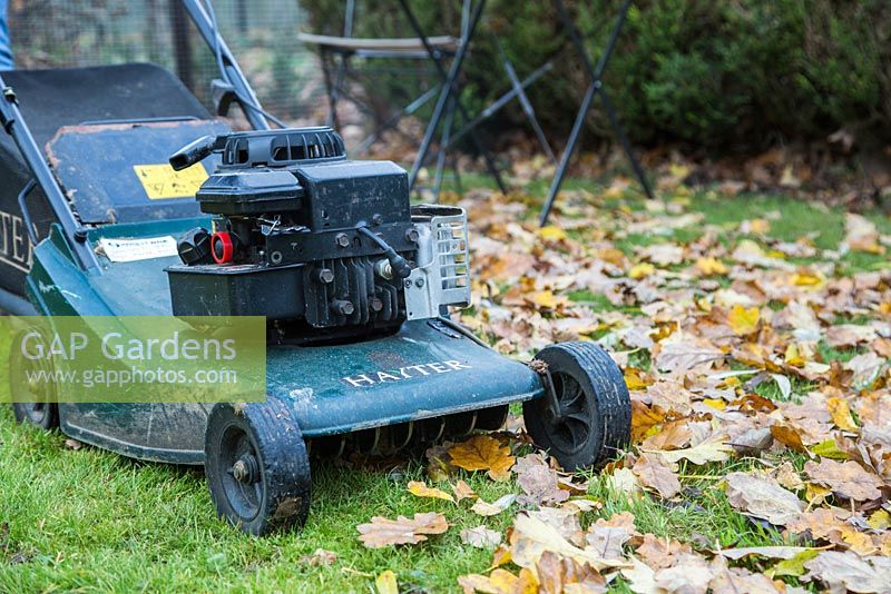 Utilisation d'une tondeuse à essence pour nettoyer le jardin des feuilles d'automne tombées