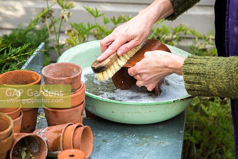 Nettoyage des pots en terre cuite dans un bol métallique d'eau bouillonnante