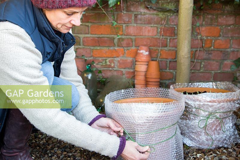 Protéger les pots vulnérables avec du papier bulle, pour éviter les dommages pendant l'hiver