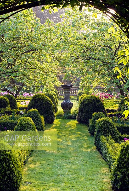 Jardin de la maison de Cerney. Coings dans le jardin de noeuds avec parterres de fleurs et cadran solaire.