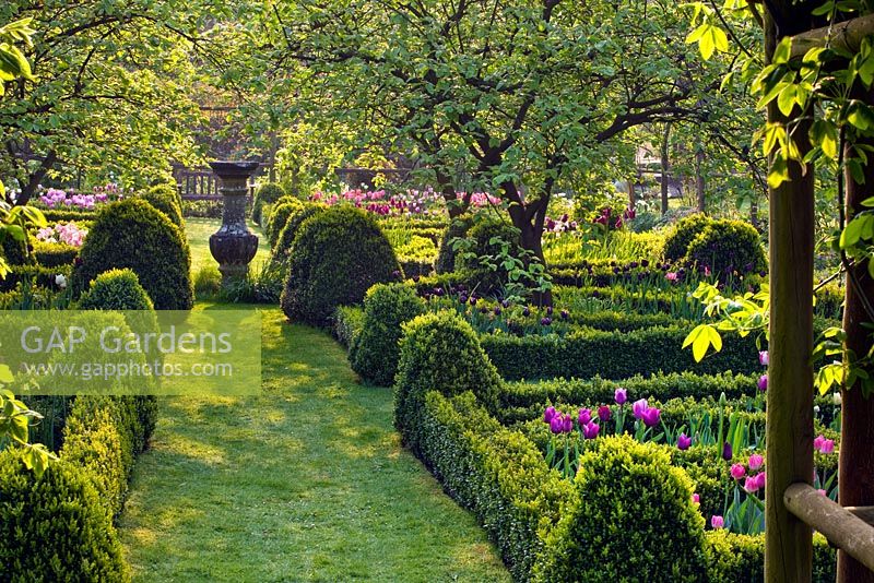 Jardin de la maison de Cerney. Coings dans le jardin de noeuds avec parterres de fleurs et cadran solaire.