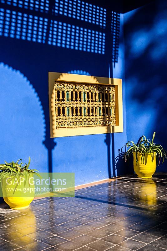Cactus en pots avec des ombres projetées sur le mur. Jardin Majorelle, Marrakech, Maroc.