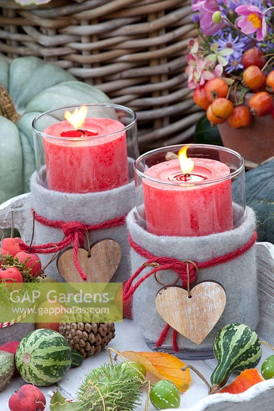 Arrangement décoratif d'automne et bougies - Malus, Cucumis hirsutus, Cucurbita pepo, Diplocyclos palmatus