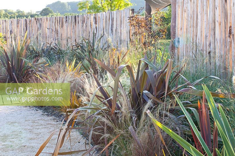 Le jardin maori à Laquenexy avec Phormium, Stipa tenuissima