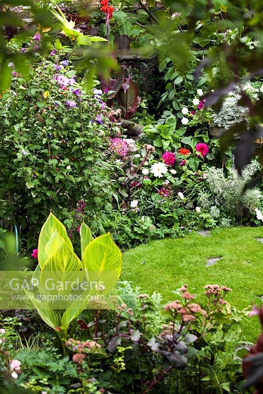 Large vue sur le jardin de fin d'été avec pelouse. Les plantes comprennent, Hibiscus, Ricinus, Sedums. Canna 'Striata', Canna 'Tropicanna' avec d'autres fleurs exotiques de parterre de fleurs
