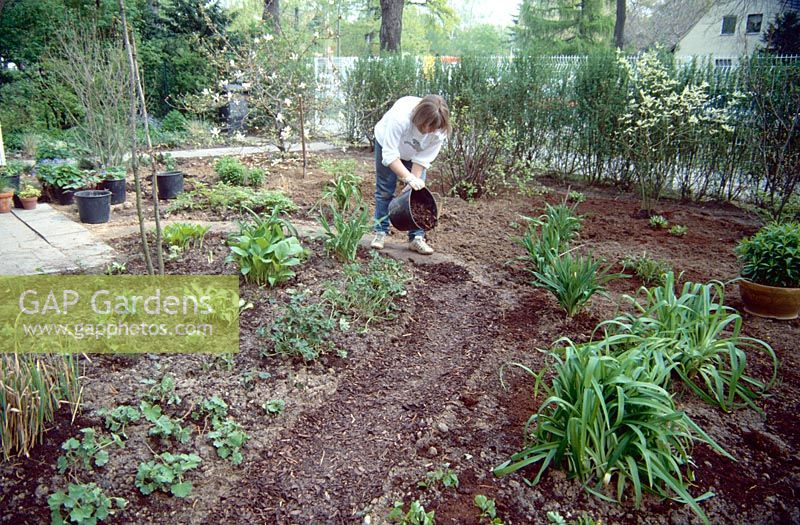 Créer un parterre de fleurs mélangé dans le jardin avant - Femme parsemée de paillis d'écorce
