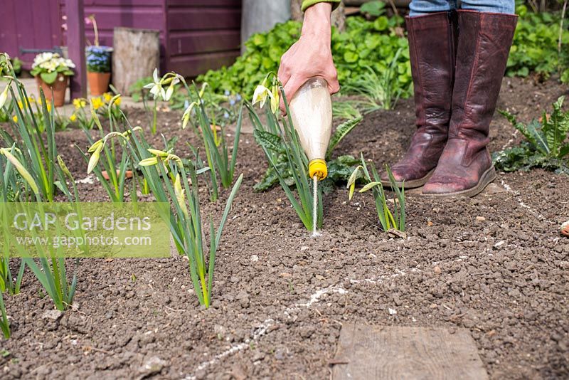 Utiliser du sable dans une bouteille pour délimiter les parterres de fleurs à planter.