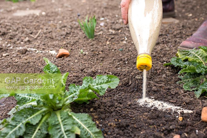 Utiliser du sable dans une bouteille pour délimiter les parterres de fleurs à planter.