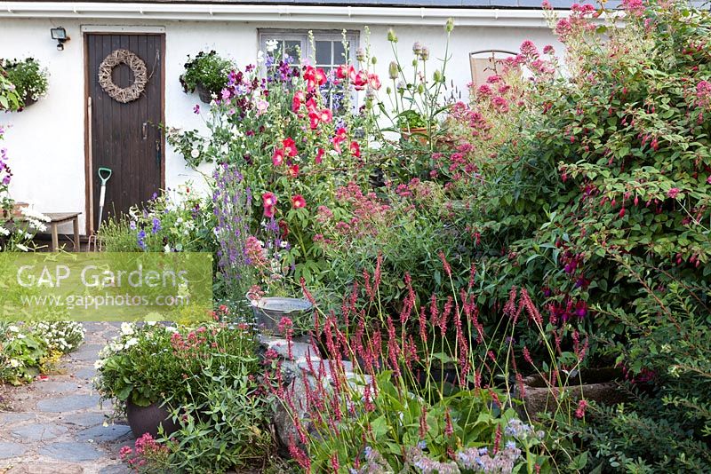 Roger et Helen Grimes 'jardin à Beesands, Devon en plein été. Petit étang de jardin avec beaucoup d'annuelles.