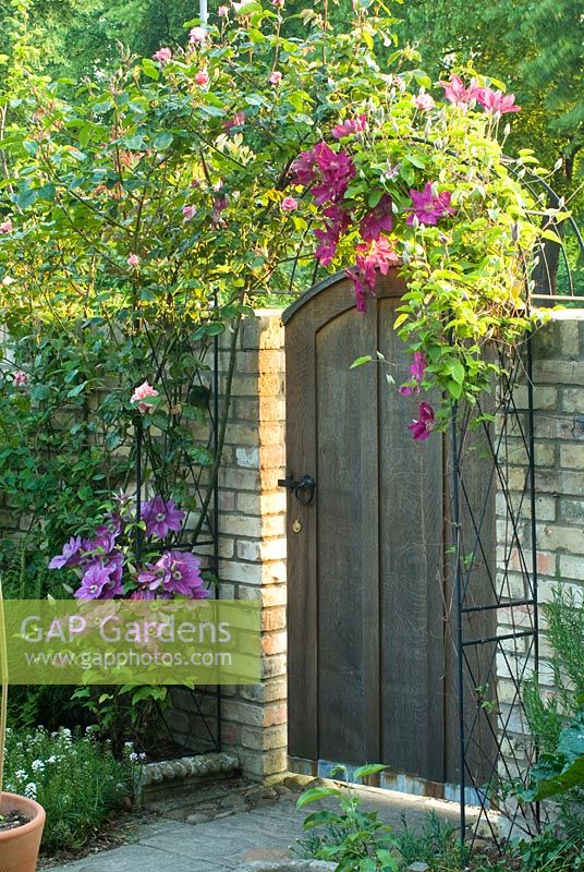 Porte de jardin en chêne encadrée par une arche recouverte de clématites et de roses.
