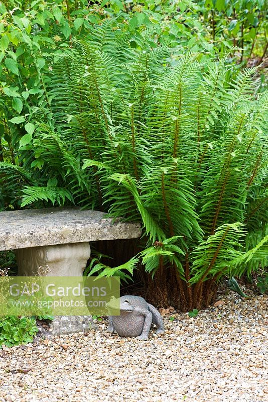 Siège en pierre et grenouille en métal entourée de fougères dans le jardin avant. Sandhill Farm House, Hampshire