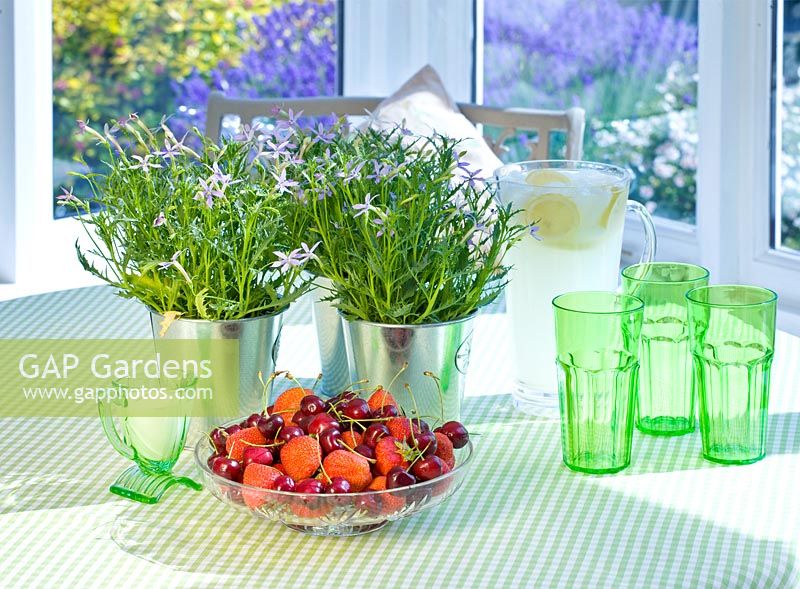 Réglage de la table avec des verres verts, un bol de fruits et des pots en métal plantés d'Isotoma axillaris