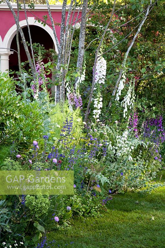 Chelsea Flower Show 2014. Le jardin de la Renaissance de la ruelle de la marque, y compris digitalis purpurea, salvia, geranium, angelica et foeniculum vulgare