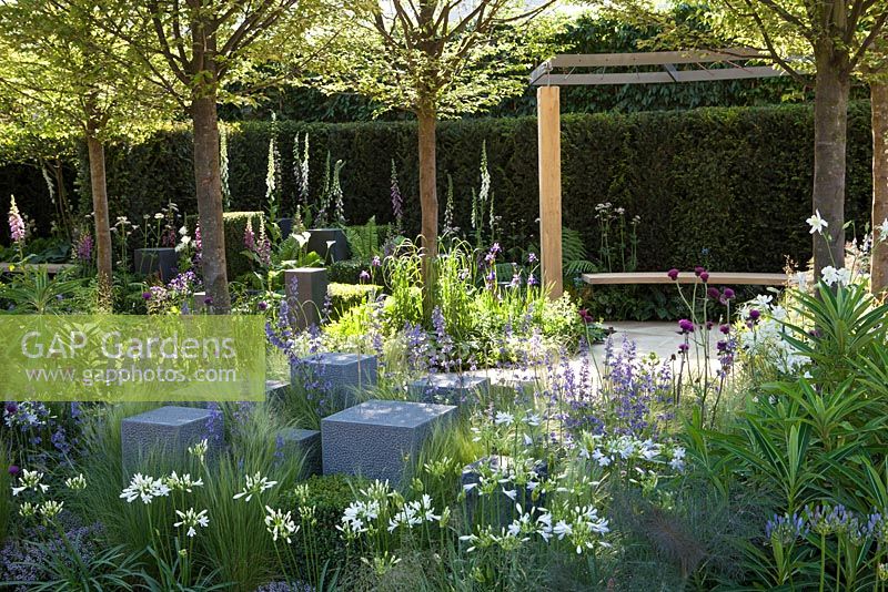L'espoir à l'horizon, le jardin de l'aide pour les héros. Chelsea Flower Show 2014. Cubes de pierre avec plantation mixte et arbres, y compris Carpinus betulus fastigiata.