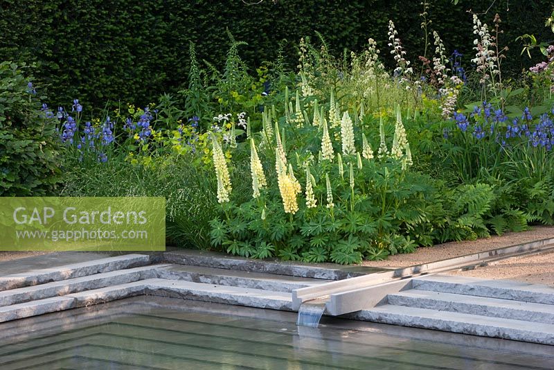 Le Jardin Laurent Perrier, RHS Chelsea Flower Show 2014. Rill coulant dans l'étang de jardin avec Lupinus 'Cashmere Cream' et Lupinus 'Chandalier' et Iris 'Persimmon'