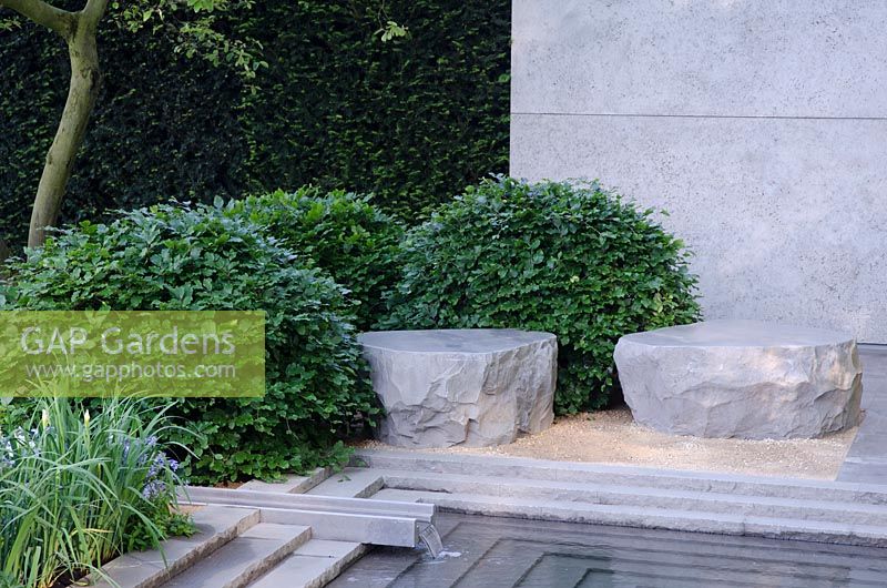 Arbustes et pierres à feuilles persistantes taillés à côté de la pièce d'eau - Le jardin Laurent Perrier, RHS Chelsea Flower Show 2014