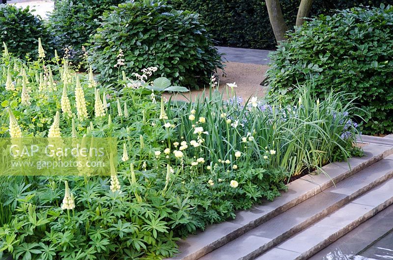 Parterre de fleurs jaune mélangé dans le jardin Laurent Perrier - RHS Chelsea Flower Show 2014