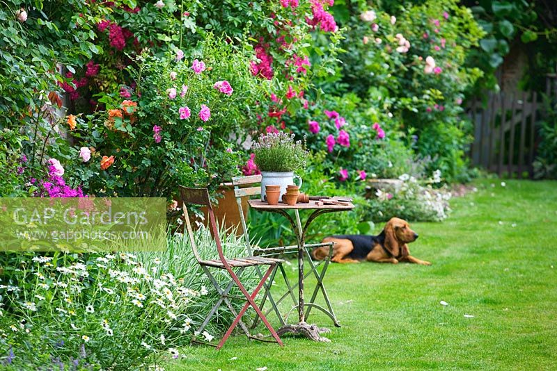 Pelouse et ferme française du 15ème siècle avec des meubles anciens et chien de famille 'Garance '. Les Jardins de Roquelin, Vallée de la Loire, France