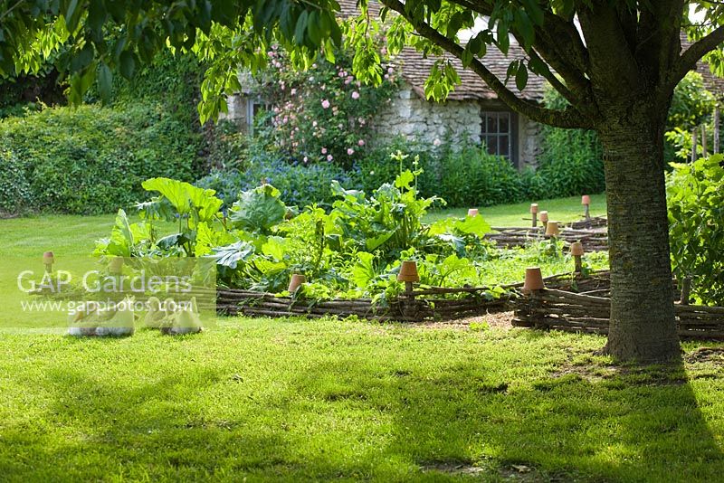 Pelouse, oies et potager décoratif / potager. Les Jardins de Roquelin, Vallée de la Loire, France