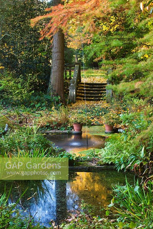 Le jardin d'eau en automne avec des marches en pierre et deux étangs peu profonds avec un seul jet d'eau. Saling Hall, Essex