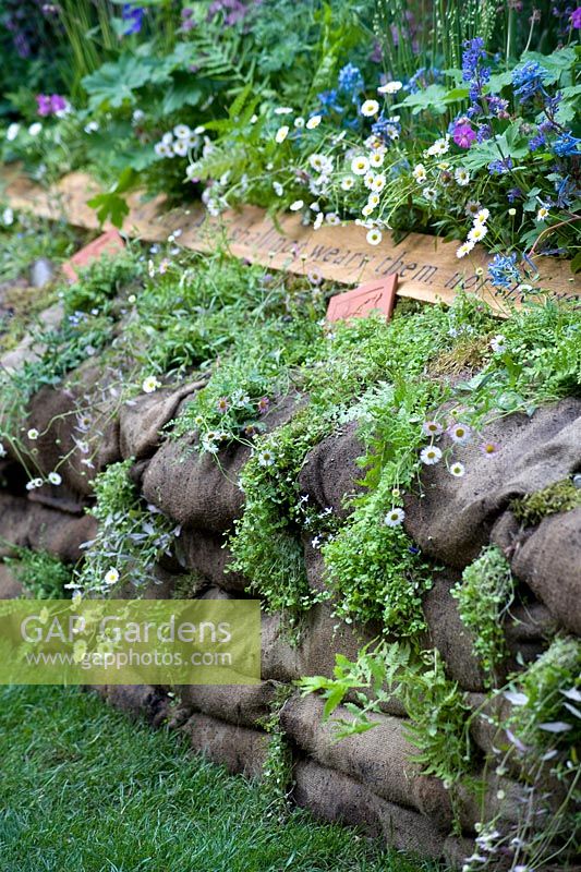 Mur de soutènement de sacs de sable pour la plantation de parterres de fleurs avec erigeron. - DialAFlight Potter's Garden