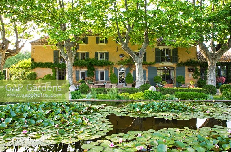 La maison aux platanes vue de l'autre côté de l'étang aux nénuphars. Les Confines, Provence, France