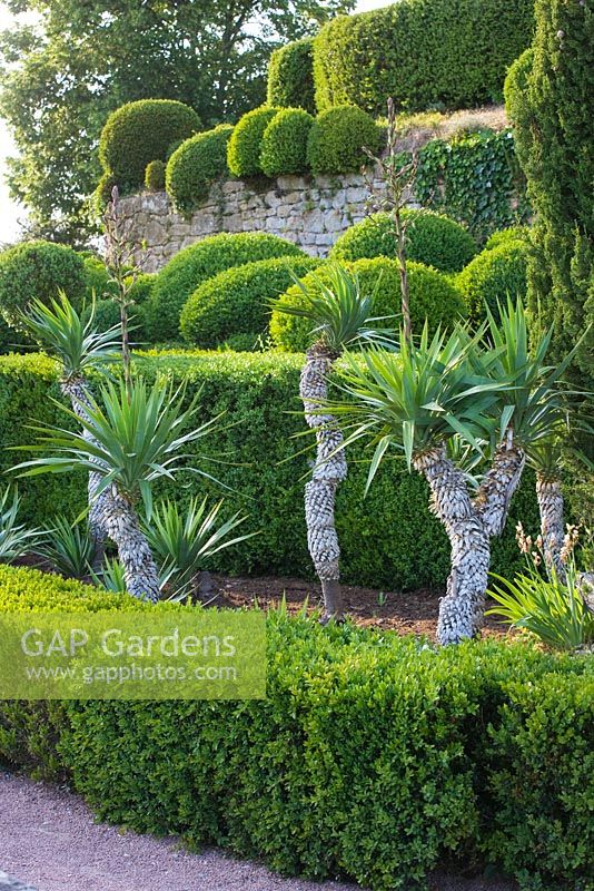 les jardins en surplomb de Marqueyssac, Périgord, France
