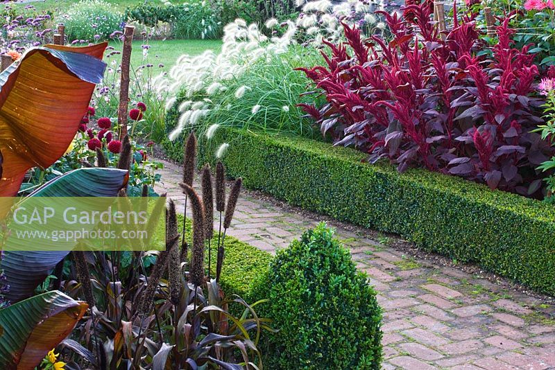 Chemin de briques avec parterres bordés de boîtes remplies d'Amaranthus 'Velvet Curtains', Pennisetum villosum, Ensete ventricosum 'Maurelii' et Pennisetum glaucum. Ulting Wick, Essex