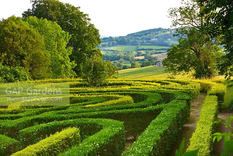 Le labyrinthe d'anniversaire planté en 2000 pour célébrer le 250e anniversaire du jardin. Jardin Rococo de Painswick, Gloucestershire