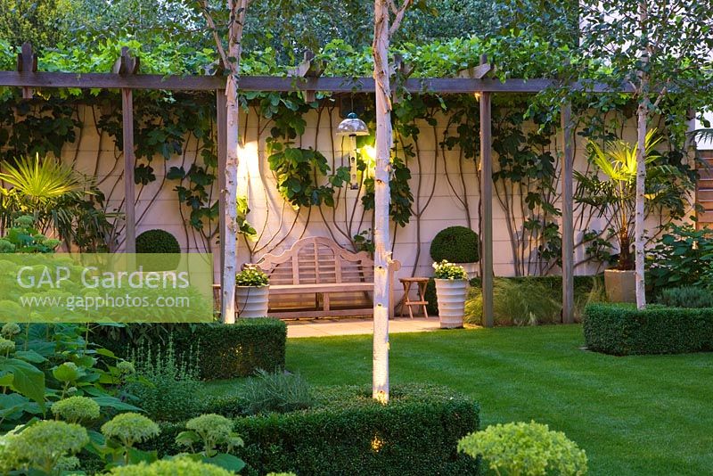 Jardin moderne de nuit avec pergola en bois, Betula jacquemontii et Hortensia 'Annabelle' - La Maison du Verre - Architectes Terry Farrell Partners - Design de jardin par Sallis Chandler