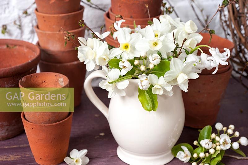Narcisse blanc et fleur de poirier affichés dans un pot en porcelaine blanche