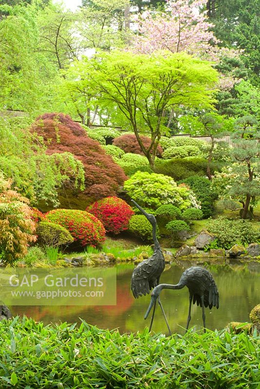 Jardin japonais de Portland, Portland, Oregon. Printemps.