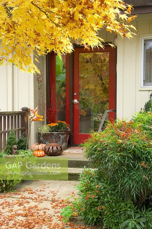 Jardin d'entrée d'automne avec porte rouge, chemin, pots avec décor d'automne. Nandina domestica - Bambou céleste, Acer palmatum - Érable japonais.