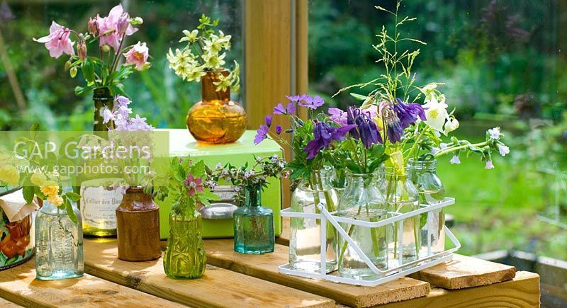 Fleurs coupées arrangées du jardin en serre