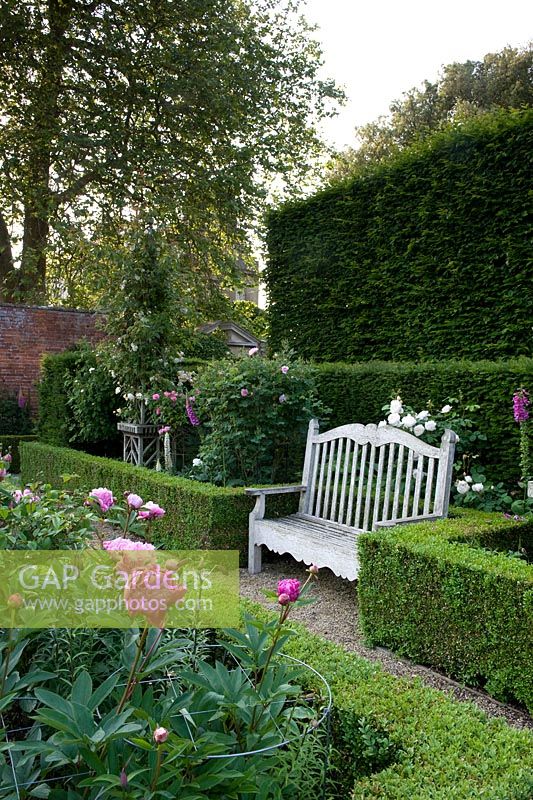Jardin de campagne anglais avec haie, pivoines et banc en bois ornemental. Seend, Wiltshire