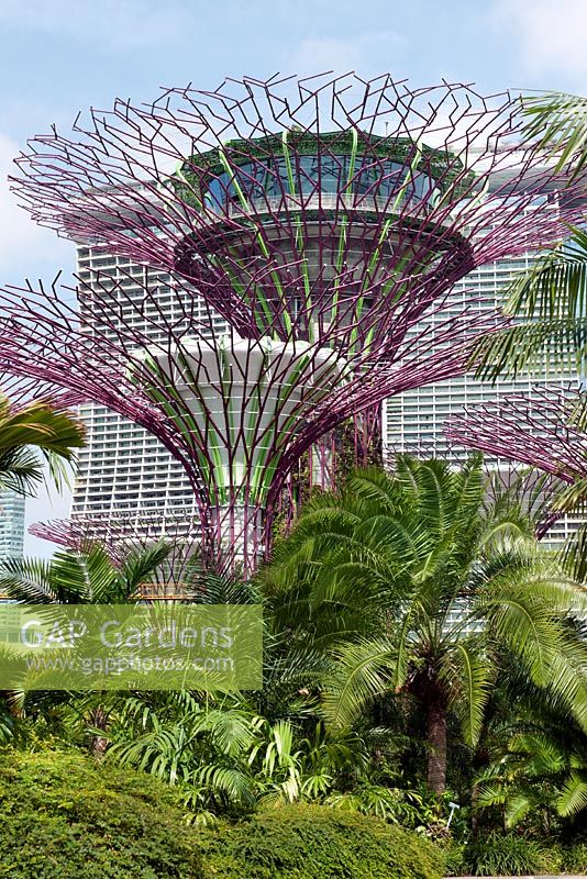 Le Supertree Grove, les passerelles aériennes et l'hôtel Marina Bay Sands, Gardens by the Bay, Singapour
