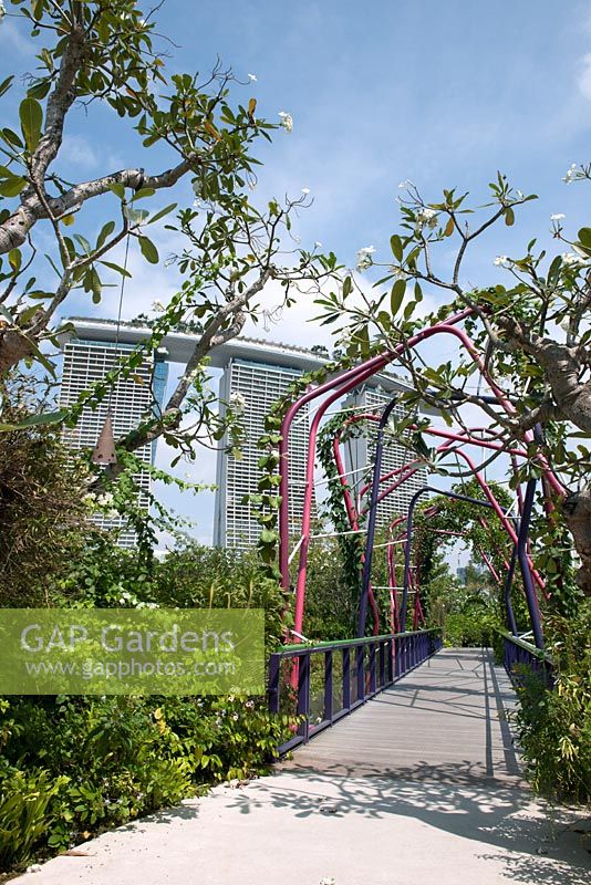 Pont entre le Colonial Garden et Malay Garden Heritage Gardens avec Marina Bay Sands Hotel en arrière-plan, Gardens by the Bay, Singapour